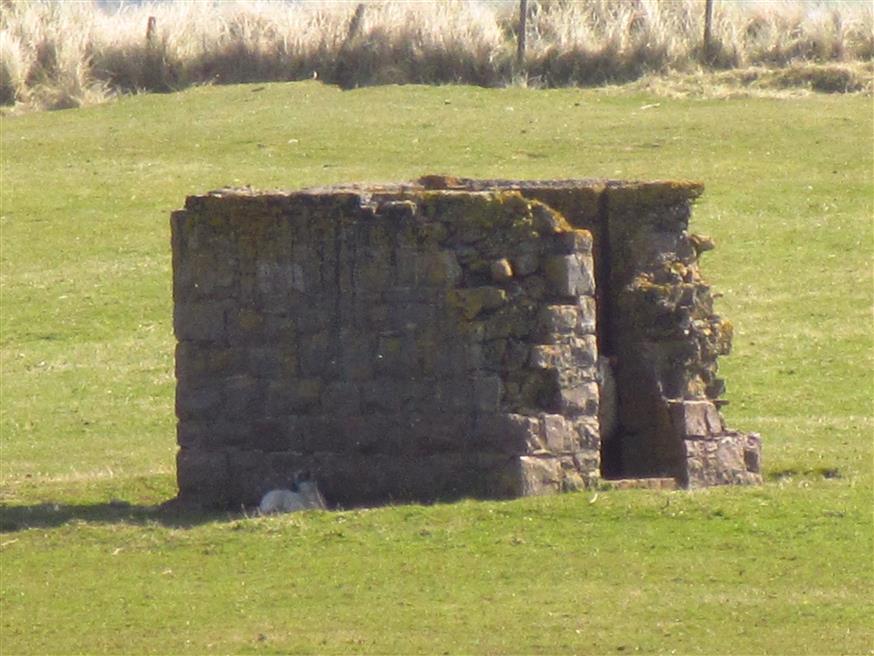 47.JPG