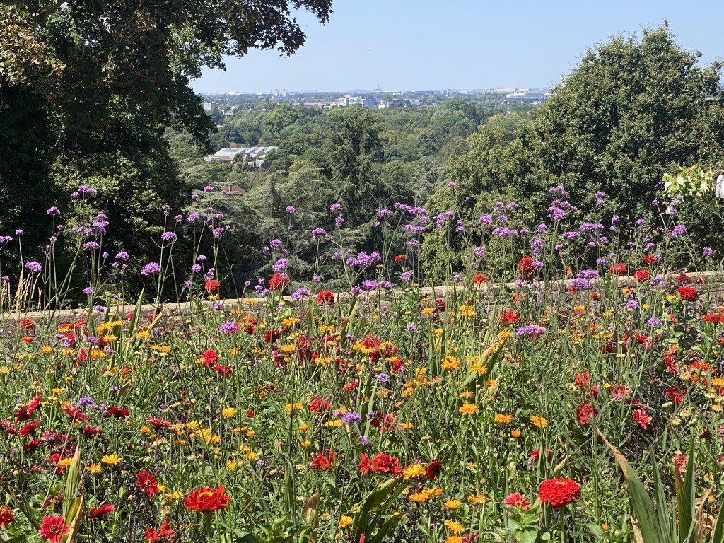 29