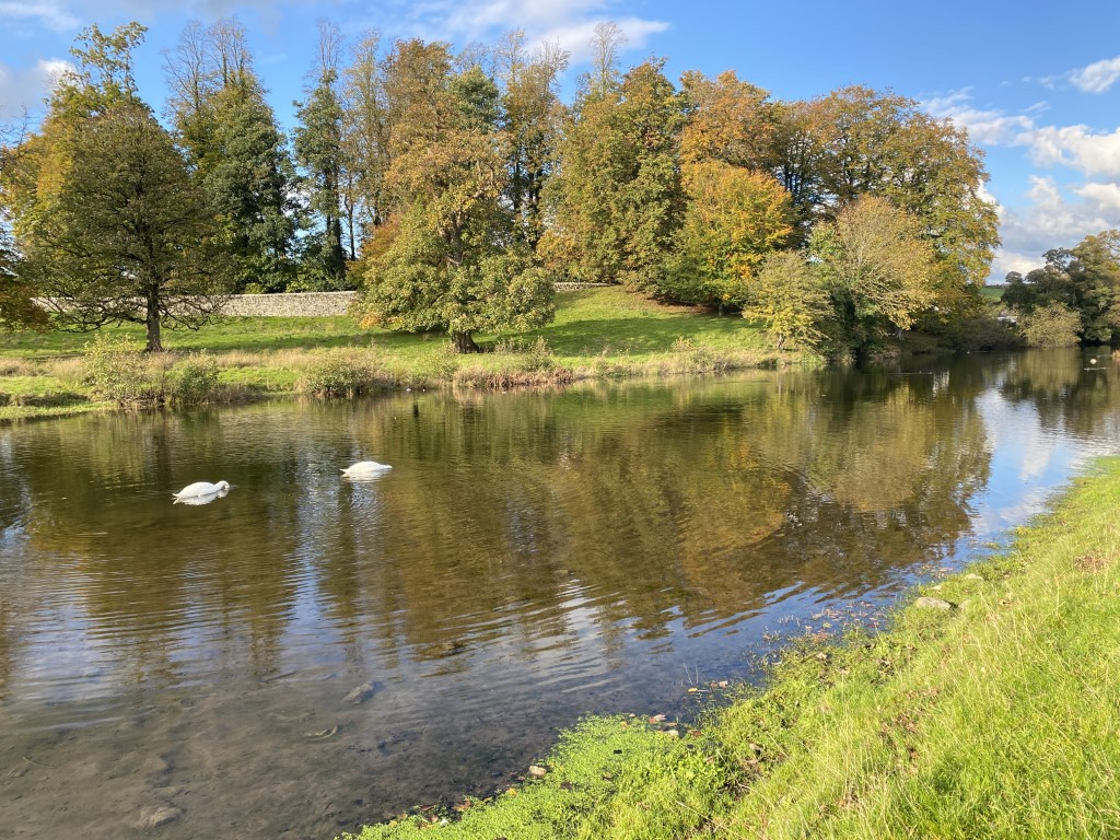 70