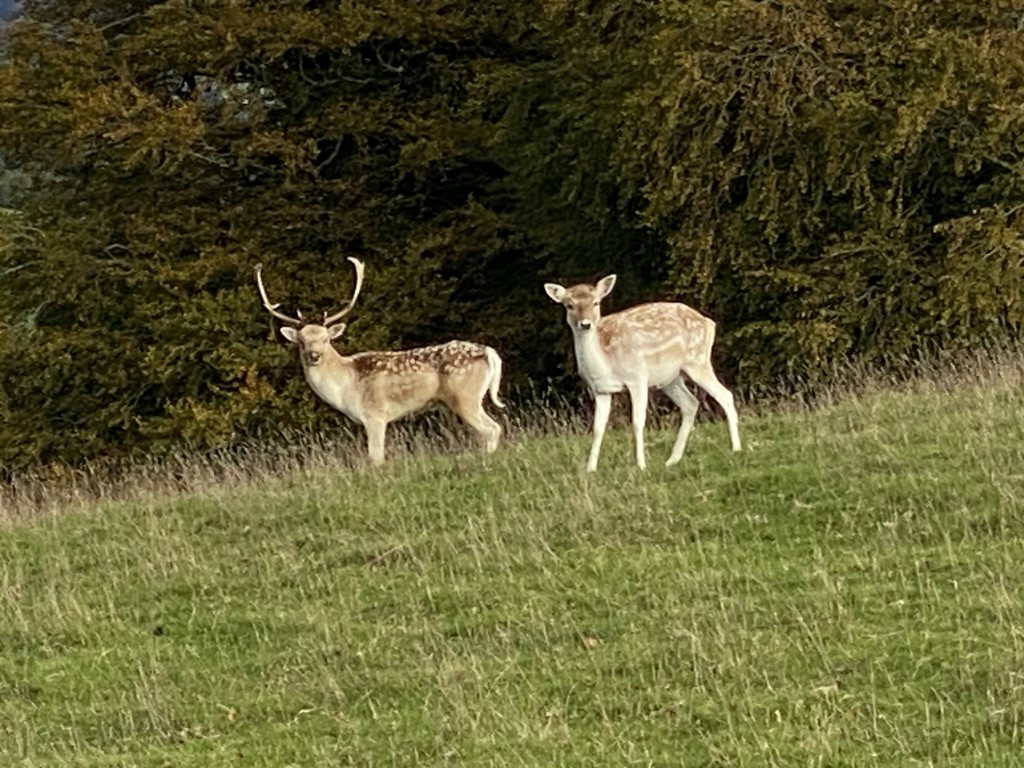 78